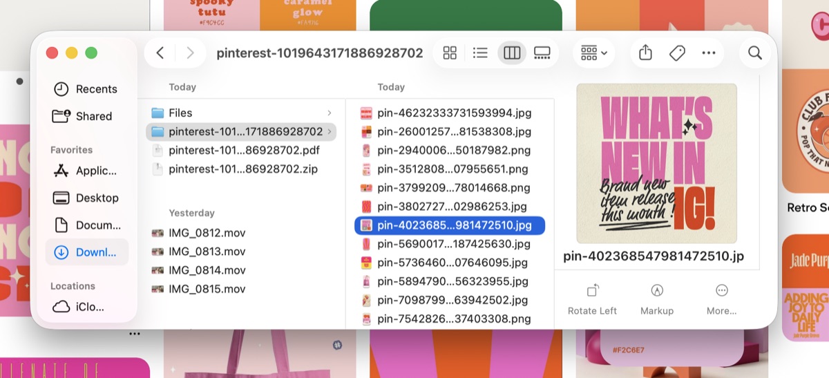 Download & Save from Pinterest